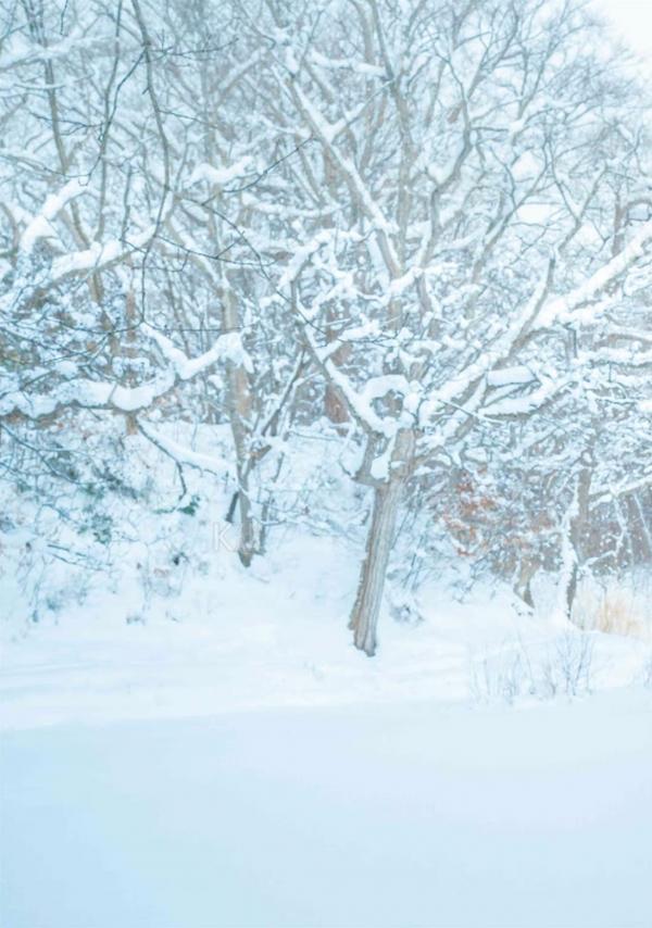 Whoseman-11-國民男友-阿部